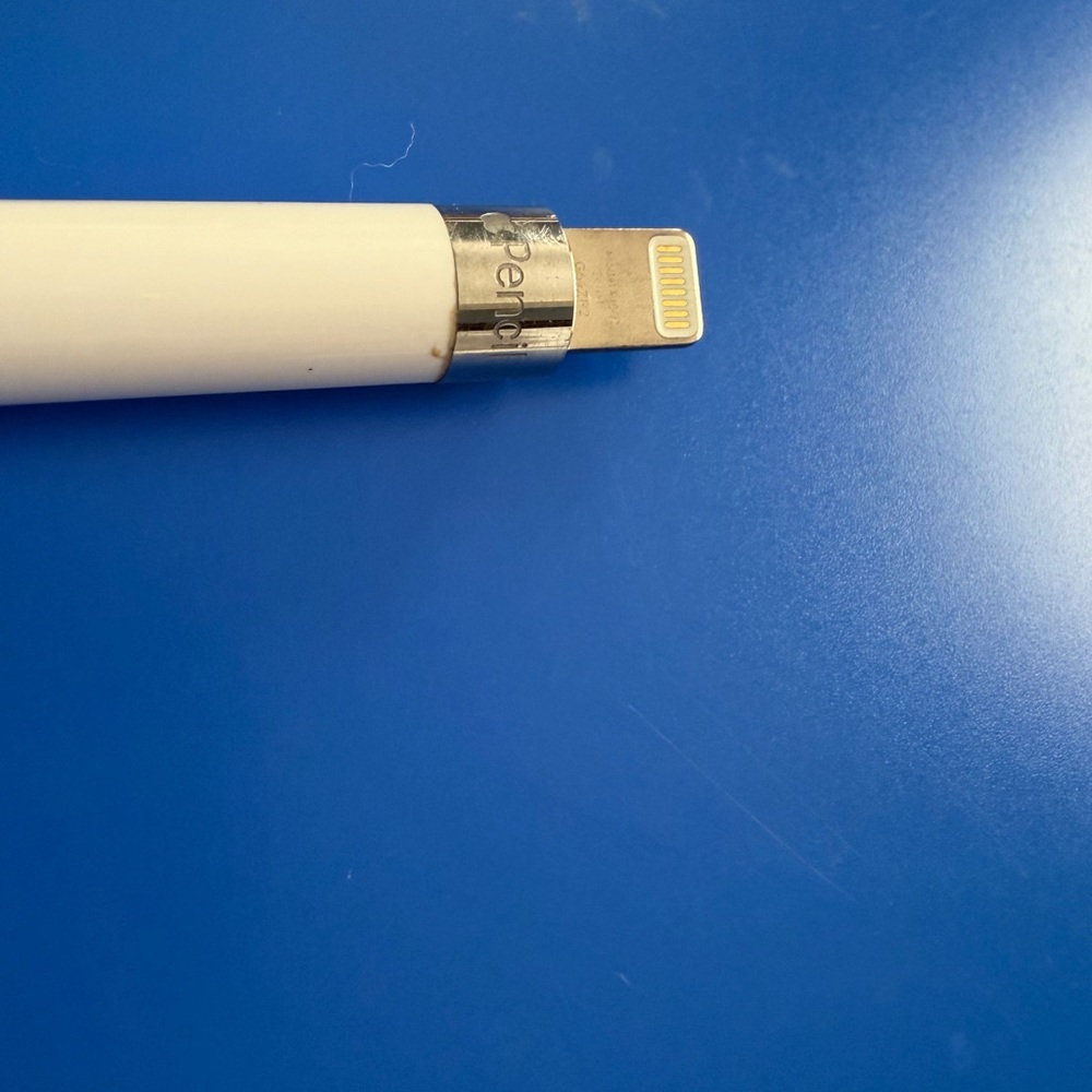 Apple White and Silver Charging Connector